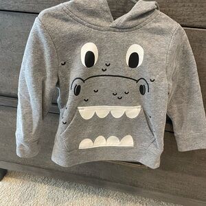 Boys 2T hooded old navy sweatshirt